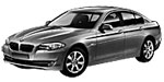 BMW F10 P2110 Fault Code